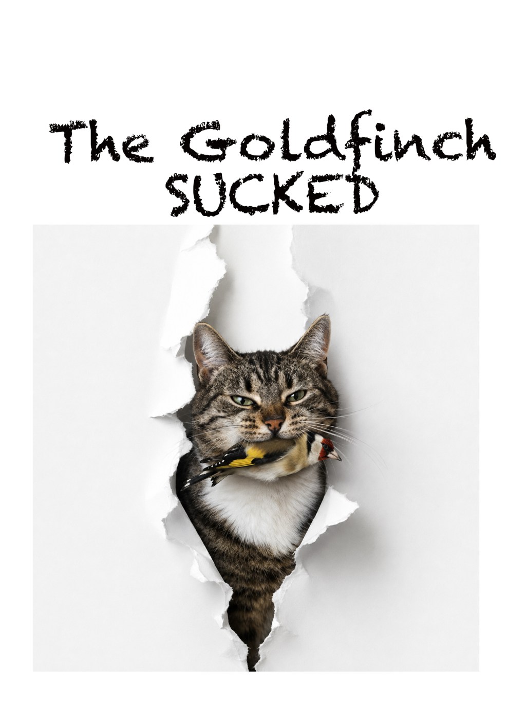 A tabby cat with a goldfinch bird in its mouth