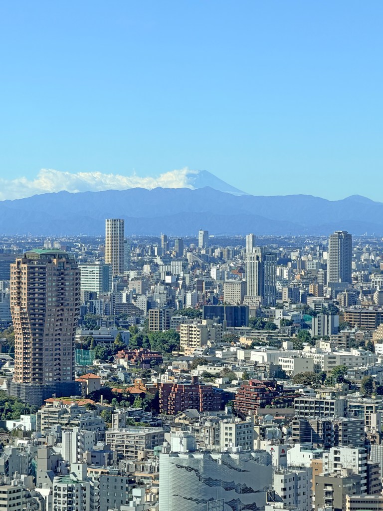 Mount Fuji in the distance as viewed from the Tokyo Tower
